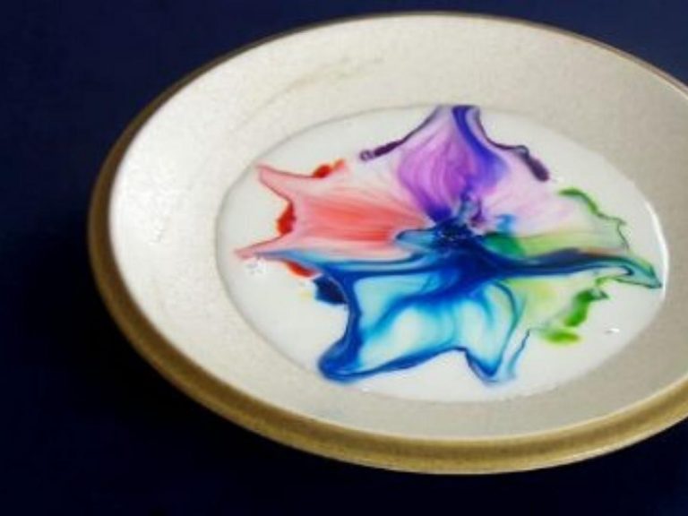 Magic Milk Vermont Institute of Natural Science