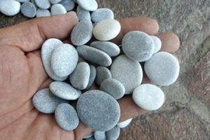 Rock Walk - Vermont Institute of Natural Science