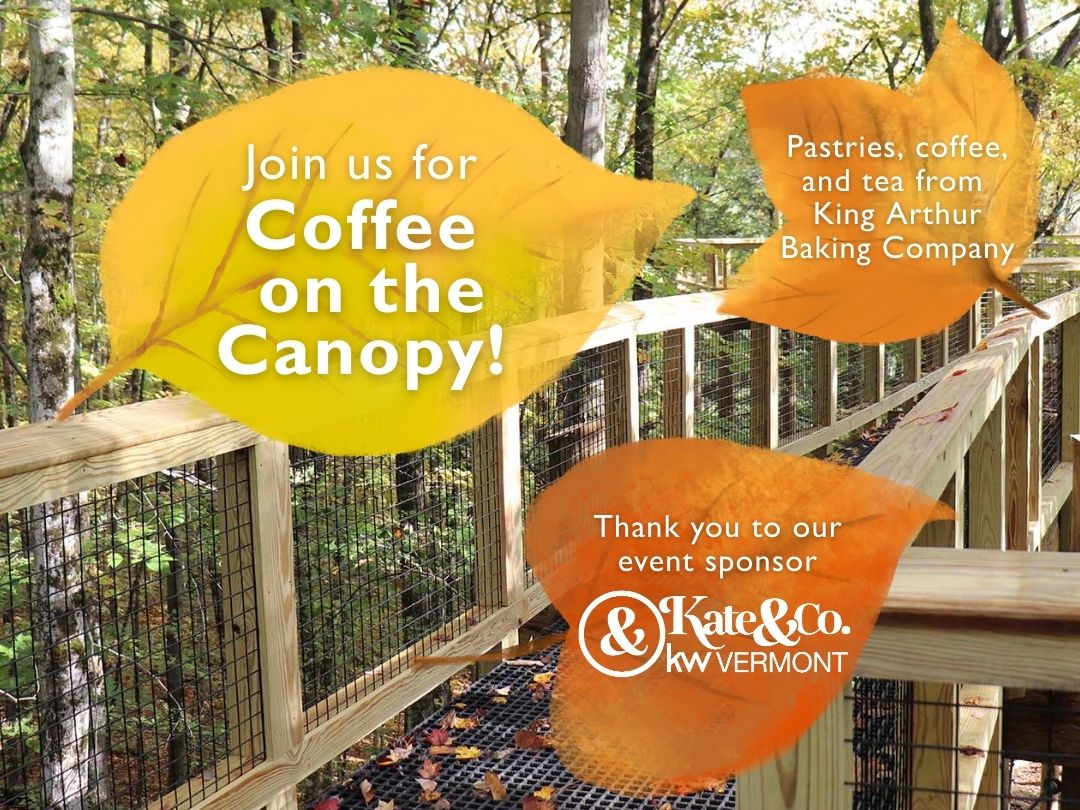 Coffee on the Canopy: Celebrate the Fall Equinox