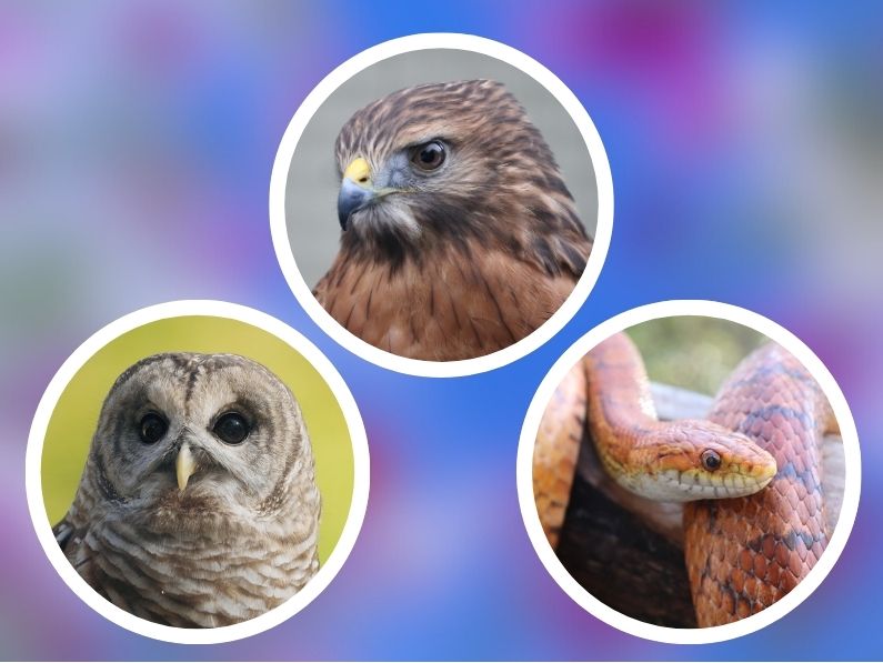 Color Our World-795x597-2024