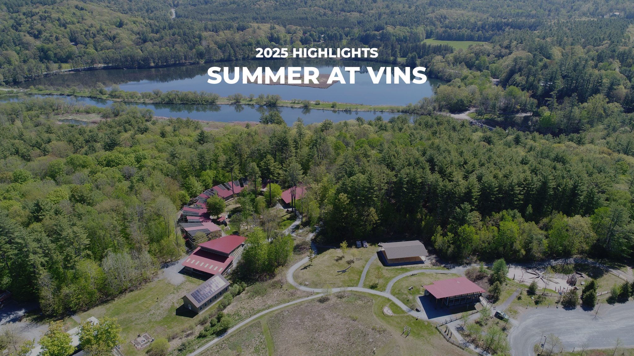 Summer at VINS