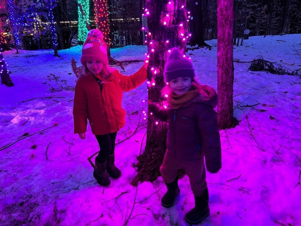 Family-Fun Forest of Lights (1)