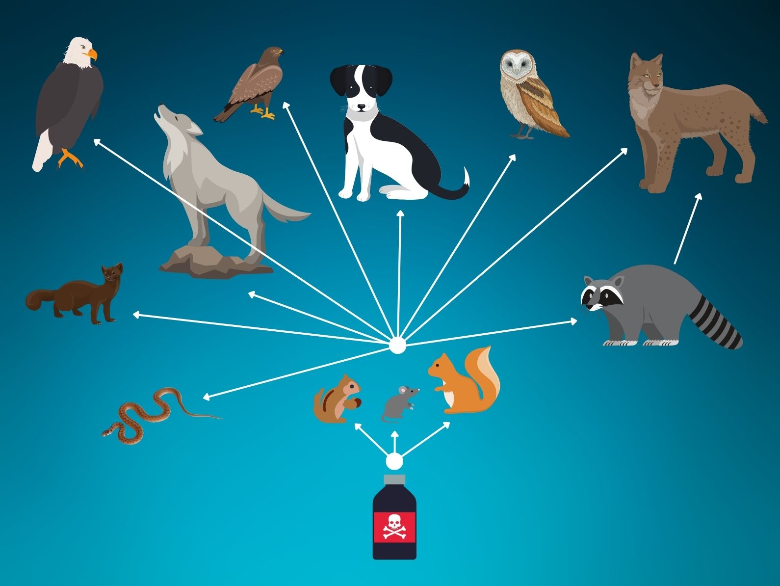 Rodenticide (795 x 597 px)