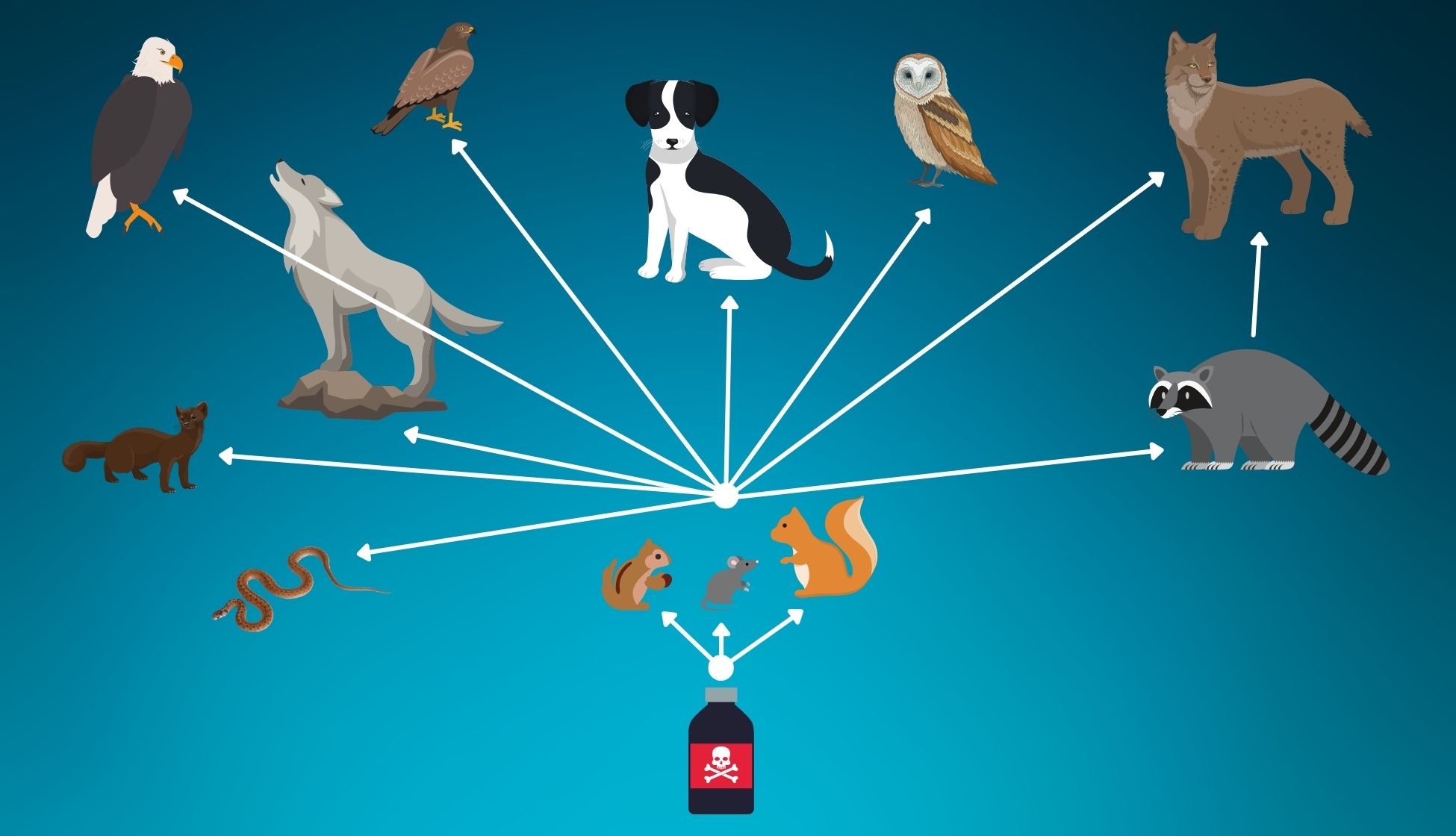 Rodenticide-975x560 (1)