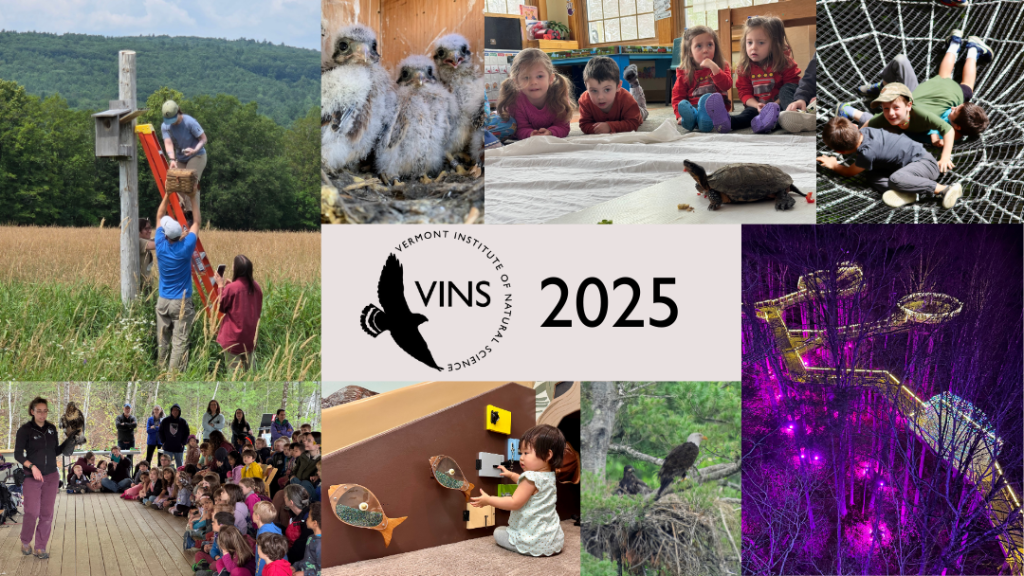 Photos from 2025 at the VINS Nature Center