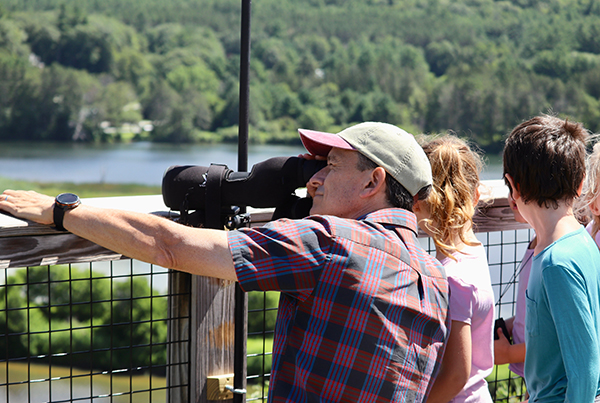 Bald Eagle Viewing