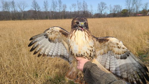 research-annual-report-2023