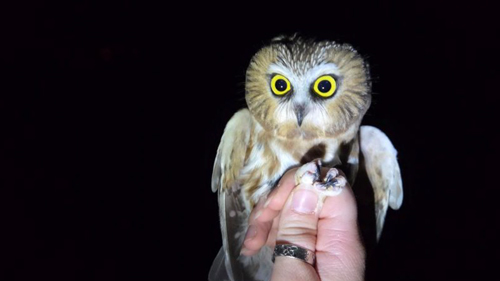 research-annual-report-2025