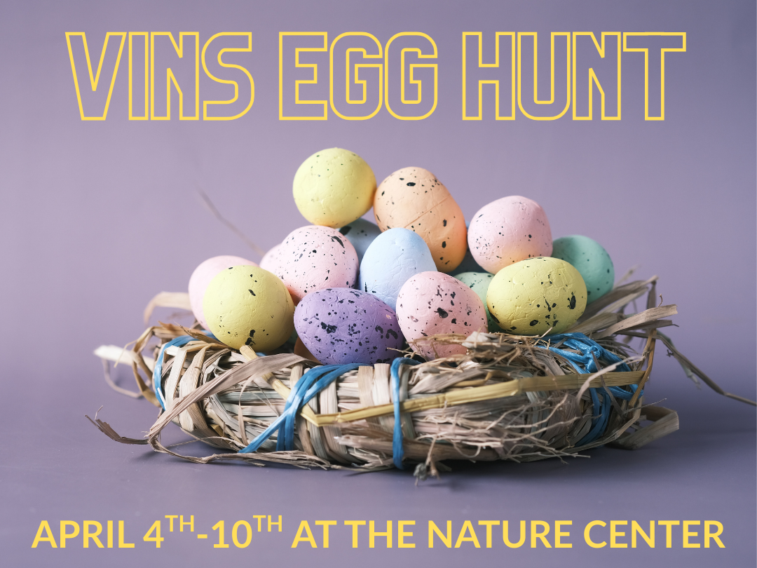 Colored gggs in a nest