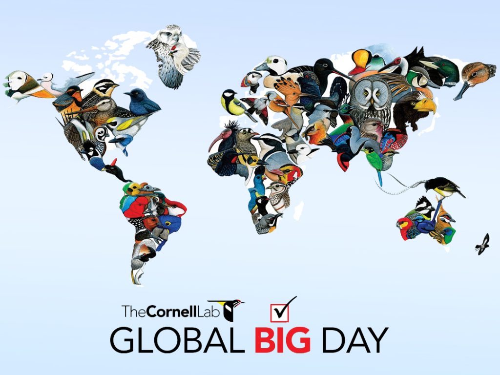 Global Big Day