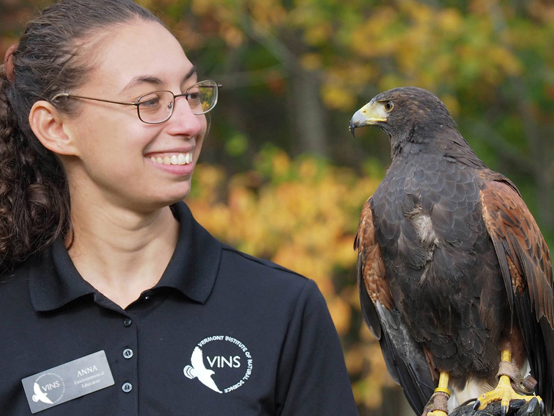 Talk to the Trainers