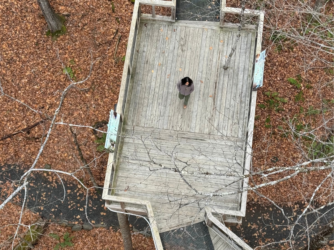 A person enjoys a quiet walk on the Canopy