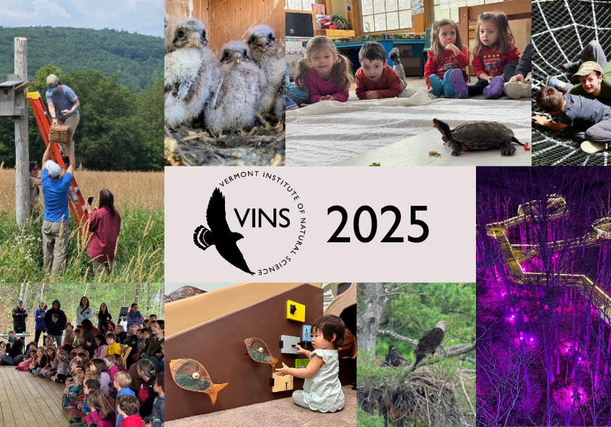 Photos from 2025 at the VINS Nature Center