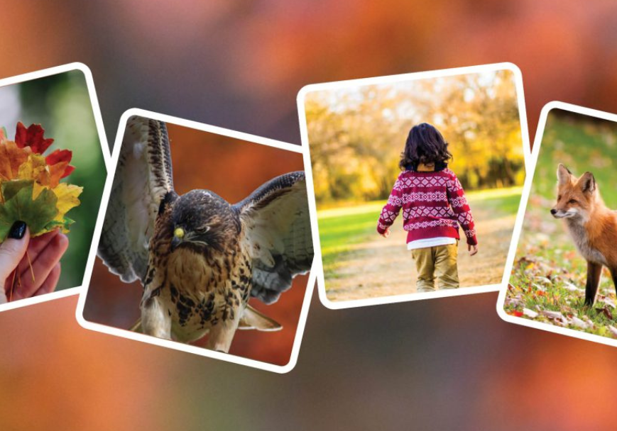 Images of autumn at the Nature Center